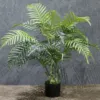 "Fresh and clean plants" details Picture